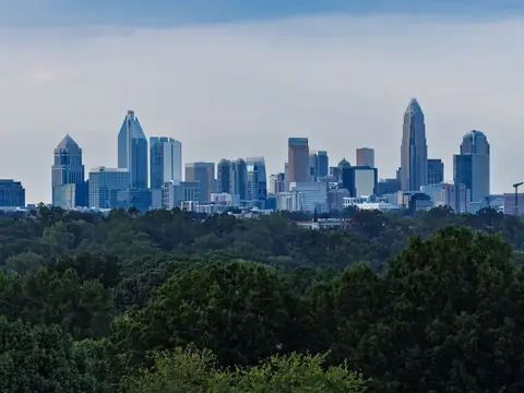 Charlotte's skyline rising above a long line of green trees