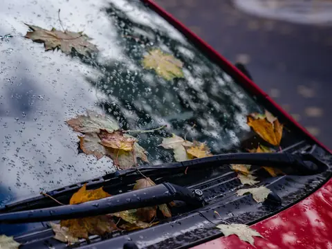 Autumn leaves on the windshield and wipers of a red car
