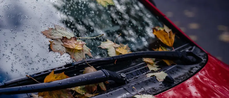 Rain and fallen leaves on the windshield and wiper of a red car